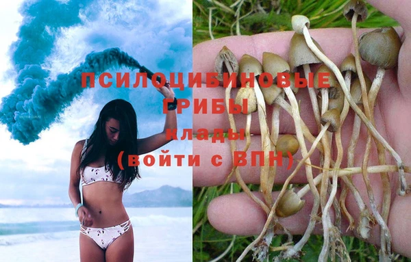 сатива Богданович