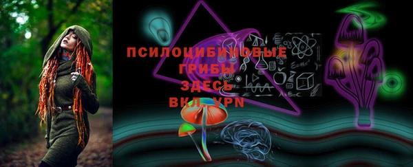 прущая мука Богородицк
