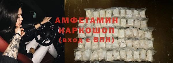 сатива Богданович