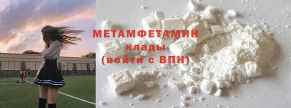 сатива Богданович