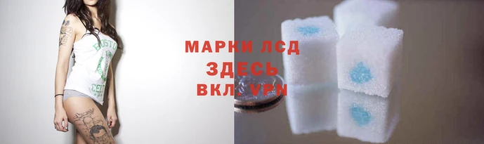 гидропоника Богородск