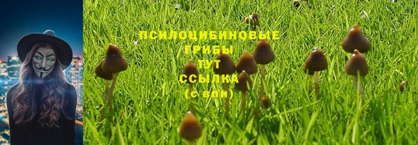 МДМА Новозыбков